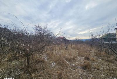 Teren de 2450 mp, în Bârnova