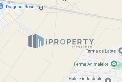 Teren de 10000 mp, în Central - 2