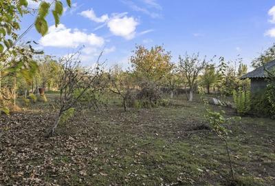 Comision 0% 2 case Vila + Spatiu Comercial + Curte Proprie - 34