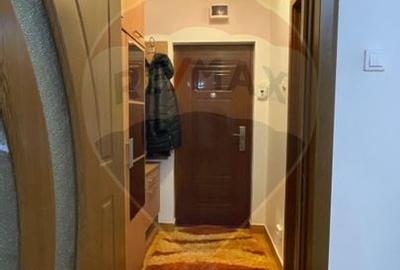 Apartament cu 1 camera de inchiriat in zona Brazda lui Novac - 10