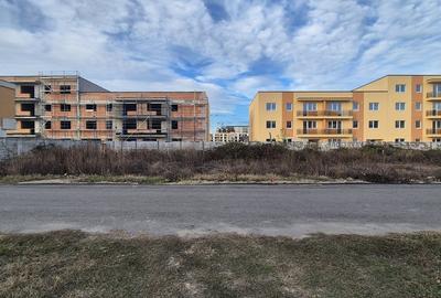 Theodor Pallady, Gura Calitei - 1