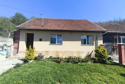 Casă individuală cu 3 camere cu Canalizare în Muncitoresc - 1