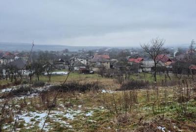 Coas, 27 ari teren - 1