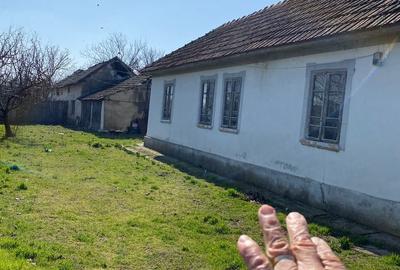 Casă cu 3 camere cu Teren 1387 Mp în Bistreț - 4