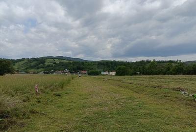 Spațiu comercial, în Central - 3