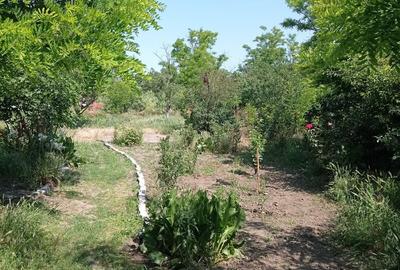 Casă cu 3 camere în Tudor Vladimirescu - 4