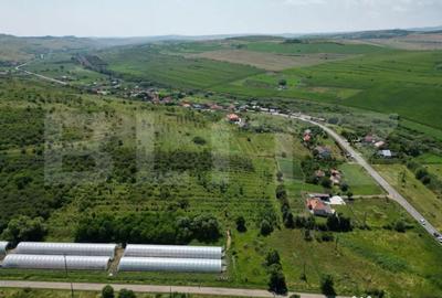 Teren în Apahida