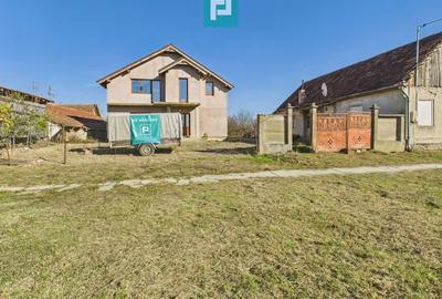 Proprietate impresionantă în Nădab - 4