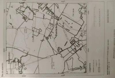 Teren de 4662 mp, în Dumbrăvița - 3