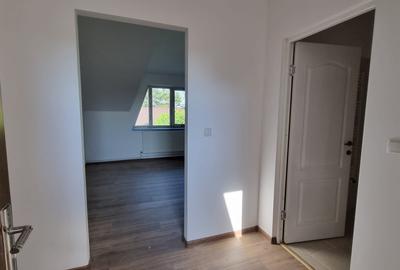 Casa Pensiune in Viile Satu Mare teren 1,63 ha, 11 camere, 10 bai - 11