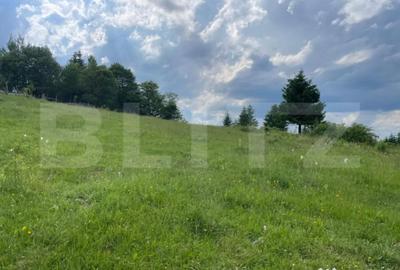 Teren de 20000 mp, în Central - 4