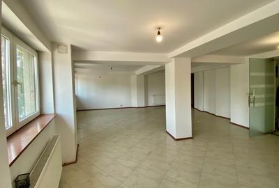 Spatiu comercial, stradal, de inchiriat - 7
