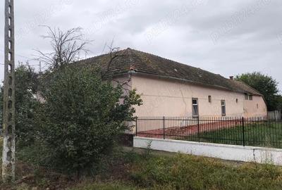 Casă cu 4 camere cu Teren 2539 Mp în Cenad - 2