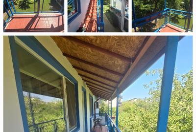 2 camere, în vila, la curte, centrala, parcare, pet friendly, metrou Gorjului, - 22