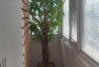 Apartament cu 3 camere semidecomandat în Iancului - 5