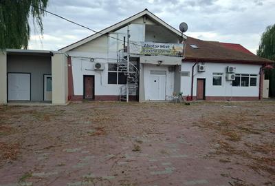 Spațiu industrial, în Coșereni - 7