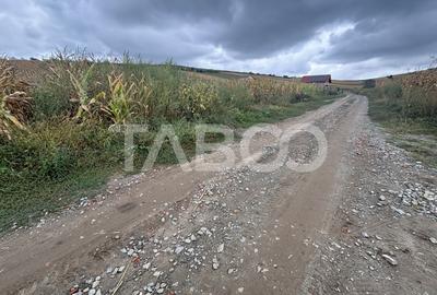 Teren de vanzare intravilan Sura Mare Sibiu 400 mp zona deosebita - 3