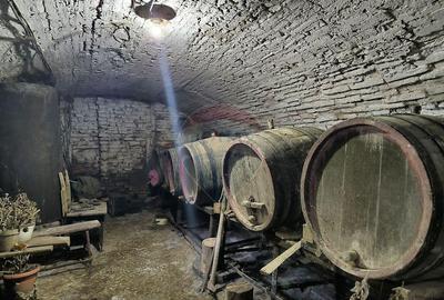 Casa 3 camere si 1400 mp teren in Brateiu - jud. Sibiu - 9