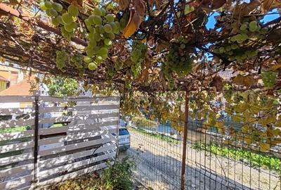 Apartament in casa situat in Centrul Istoric - 14