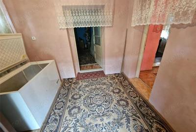 Casă cu Teren 4657 Mp în Șoșdea - 14