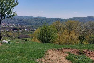 Teren Campina varful Muscel - 6