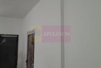 Casă cu 2 camere în Roșu - 16