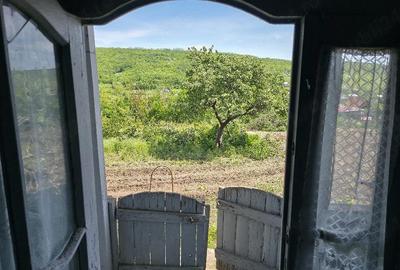 Casă cu Teren 1829 Mp în Erbiceni - 4