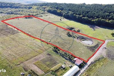 Spațiu comercial, în Sigmir - 5