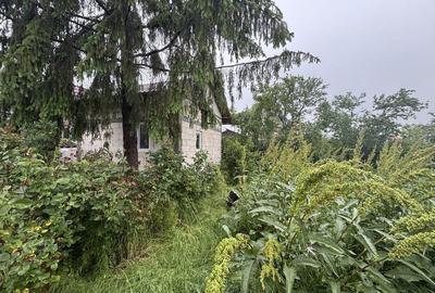 Casă cu 3 camere cu Teren 2500 Mp în Costești - 8