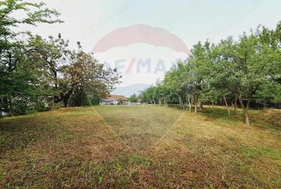 Casa cu teren 3100mp in Hidiselu de Sus - 9