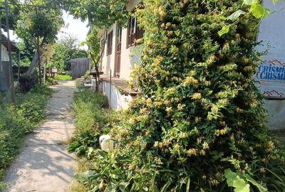 Casă cu 4 camere în Central - 2