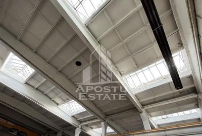 Spațiu comercial, de 1,609 mp, în Buziașului - 1