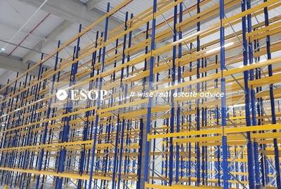 Spațiu comercial, de 5,300 mp, în Chitila - 6