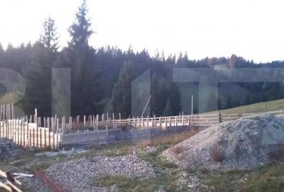 Teren de vanzare, 2400 mp, Dealul Floreni, Vatra Dornei - 6