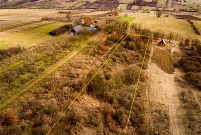 Teren Construcții intravilan de 5361 mp, în Vadu Crișului - 6