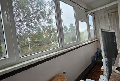 Apartament cu 2 camere bld. Balcesu langa brutaria Panaur si restaurant Dunarea - 8