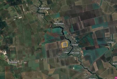 Vanzare teren intravilan Afumati - Sinesti - DN2, ILFOV - 2