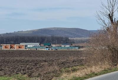 Spațiu comercial, în Hărman - 5