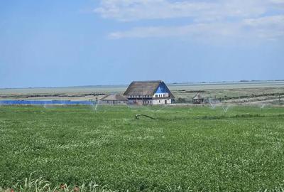 Teren de 5000 mp, în Jurilovca - 2