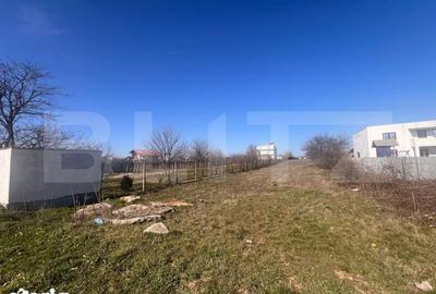 Teren de 3000 mp, în Coșoveni - 1