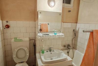APARTAMENT 2 CAMERE, SECTOR 3/FIZICIENILOR, DECOMANDAT, DE RENOVAT - 1