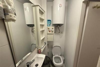 Studio in vila, Tepes Voda, Pet Friendly, 14 min Metrou - 9