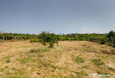 Teren de 1200 mp, în Paleu - 7