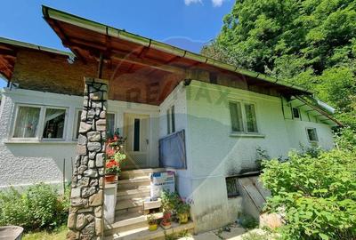 Casa de la marginea padurii! - 18