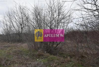 Teren cu potential comercial, bun pentru Showroom. - 6