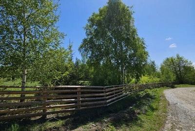 Pensiune in jud. Buzau, loc Ivanetu| Constructie lemn|Pozitionare impresionanta - 55