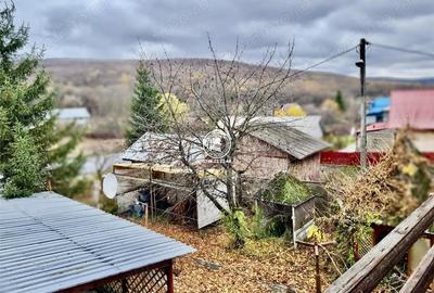 Casă cu 5 camere cu Teren 4500 Mp în Schitu Duca - 1