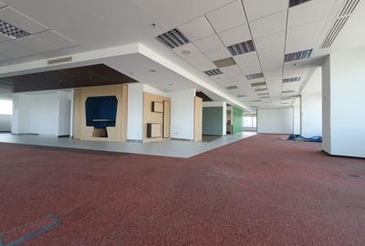 Birou, de 198 mp, în Muncii - 3