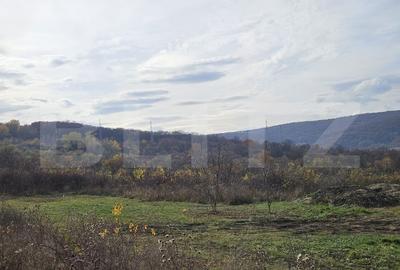 Teren de investitie! 600 mp, cu PUZ demarat, cartier Europa! - 2