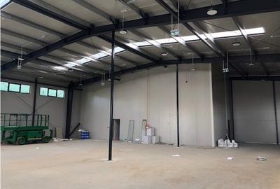 Spațiu industrial, de 500 mp, în Chitila - 3